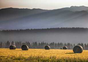 Kootenay Valley morning-4792 Kootenay Valley morning-4792